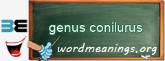 WordMeaning blackboard for genus conilurus